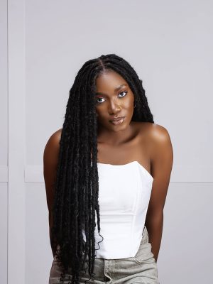 Bohemian Goddess Locs | Soft Locs | Pre looped Faux Locs US